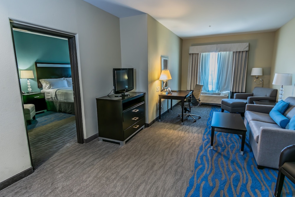 Holiday Inn Houston Webster by IHG - photo 22