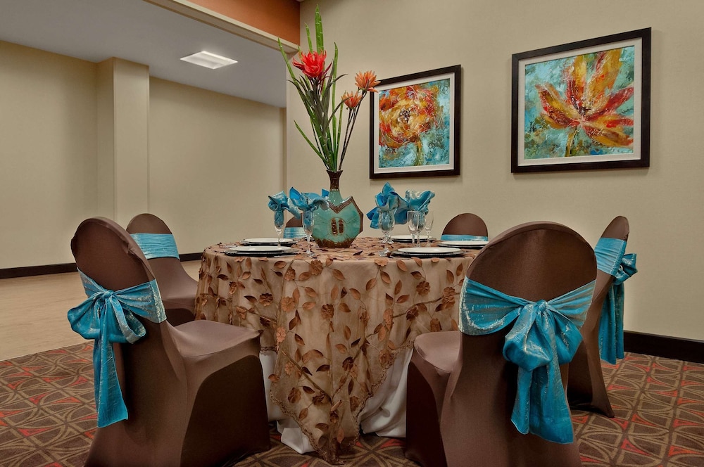 Hampton Inn & Suites Tampa Northwest Oldsmar - photo 41