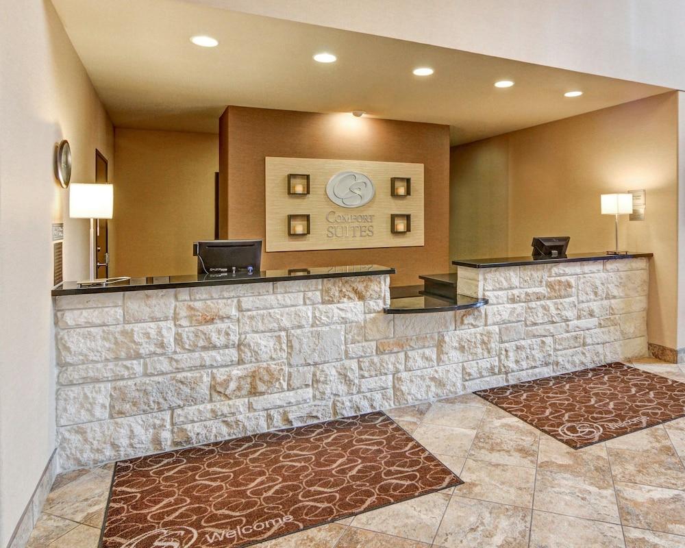 Comfort Suites Arlington - photo 28