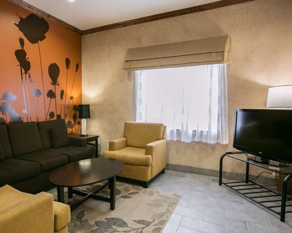 Sleep Inn & Suites Highway 290 NW Freeway - photo 8