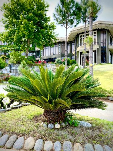 Rock City Resort — Mingora — photo 3