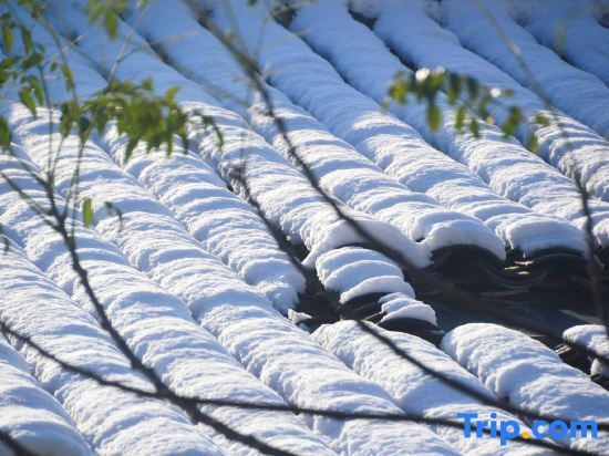 Huating Hotel - carbon neutral hotel in Ningbo
