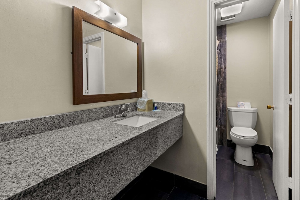 Rodeway Inn Dickson - photo 13