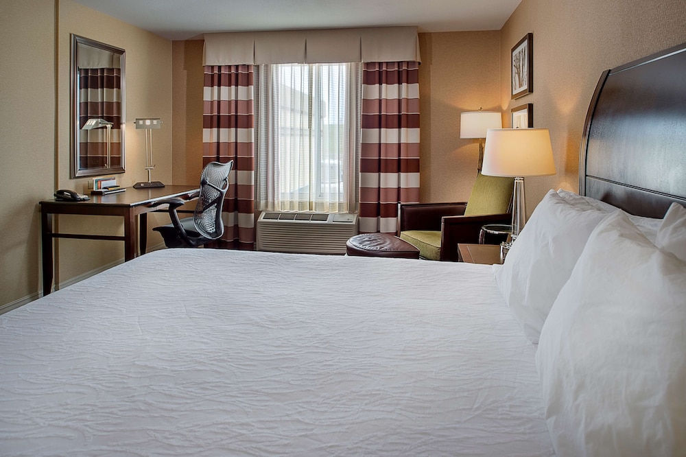 Hilton Garden Inn St. Louis Airport - photo 10