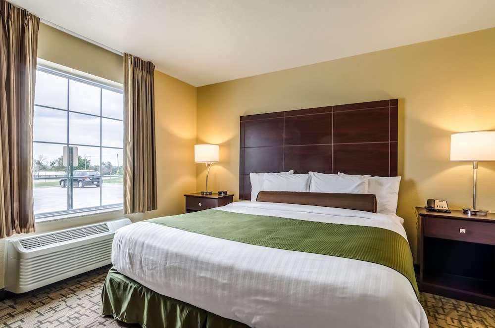 Cobblestone Inn & Suites Oberlin - photo 7