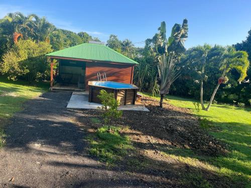 Verdure et nature in Le Moule, Guadeloupe