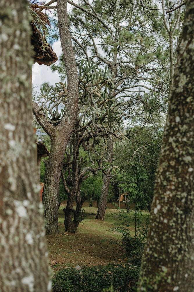 Tapalpa Country Club Hotel