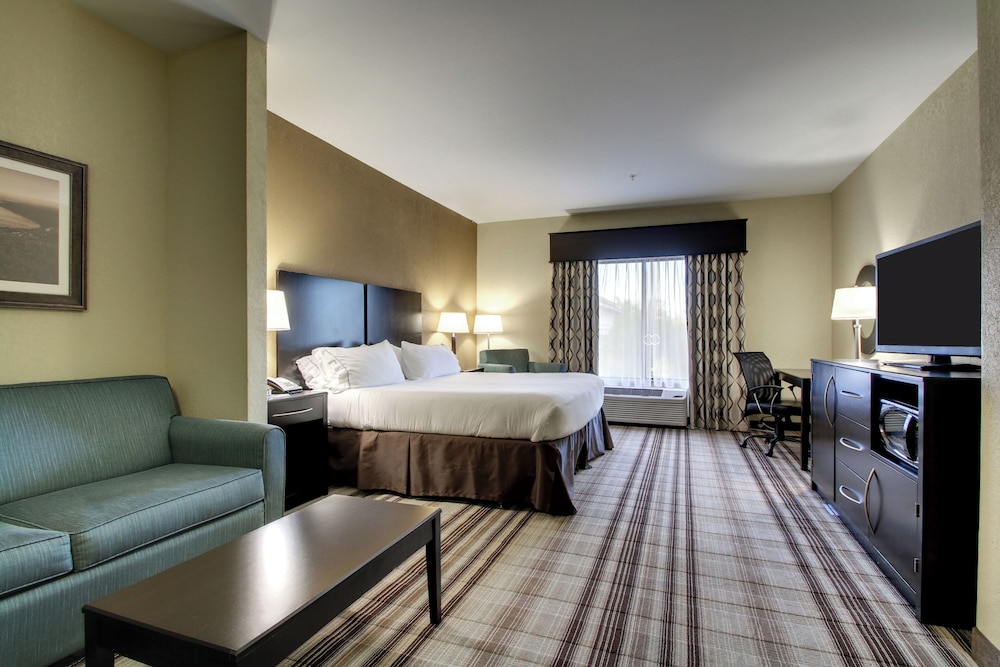 Holiday Inn Express Hotel & Suites Natchez South by IHG - photo 7