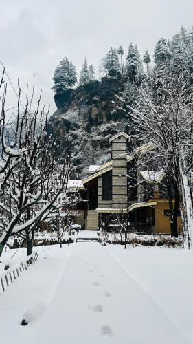 Into The Wild Manali - last minute hotel in Unknown City
