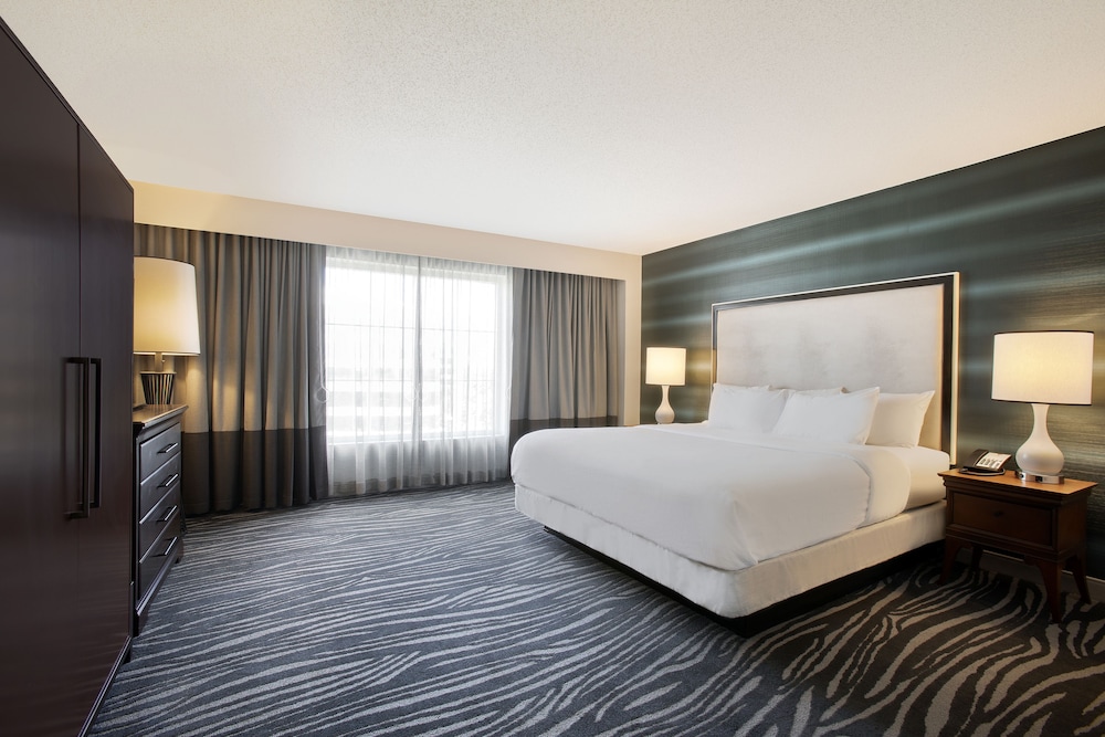 Embassy Suites by Hilton Orlando Airport - photo 7