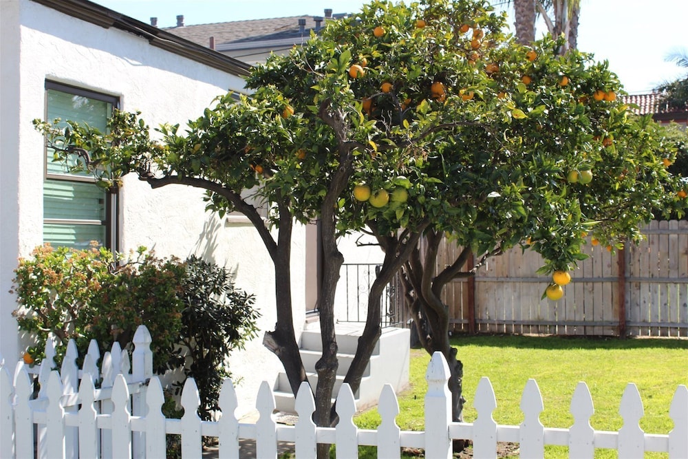 Orange Tree Cottages Downtown - photo 125