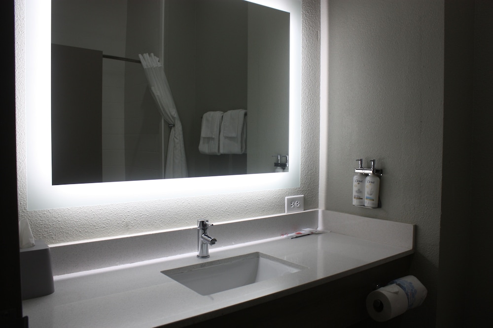 Holiday Inn Express Hotel & Suites Shamrock North by IHG - photo 54