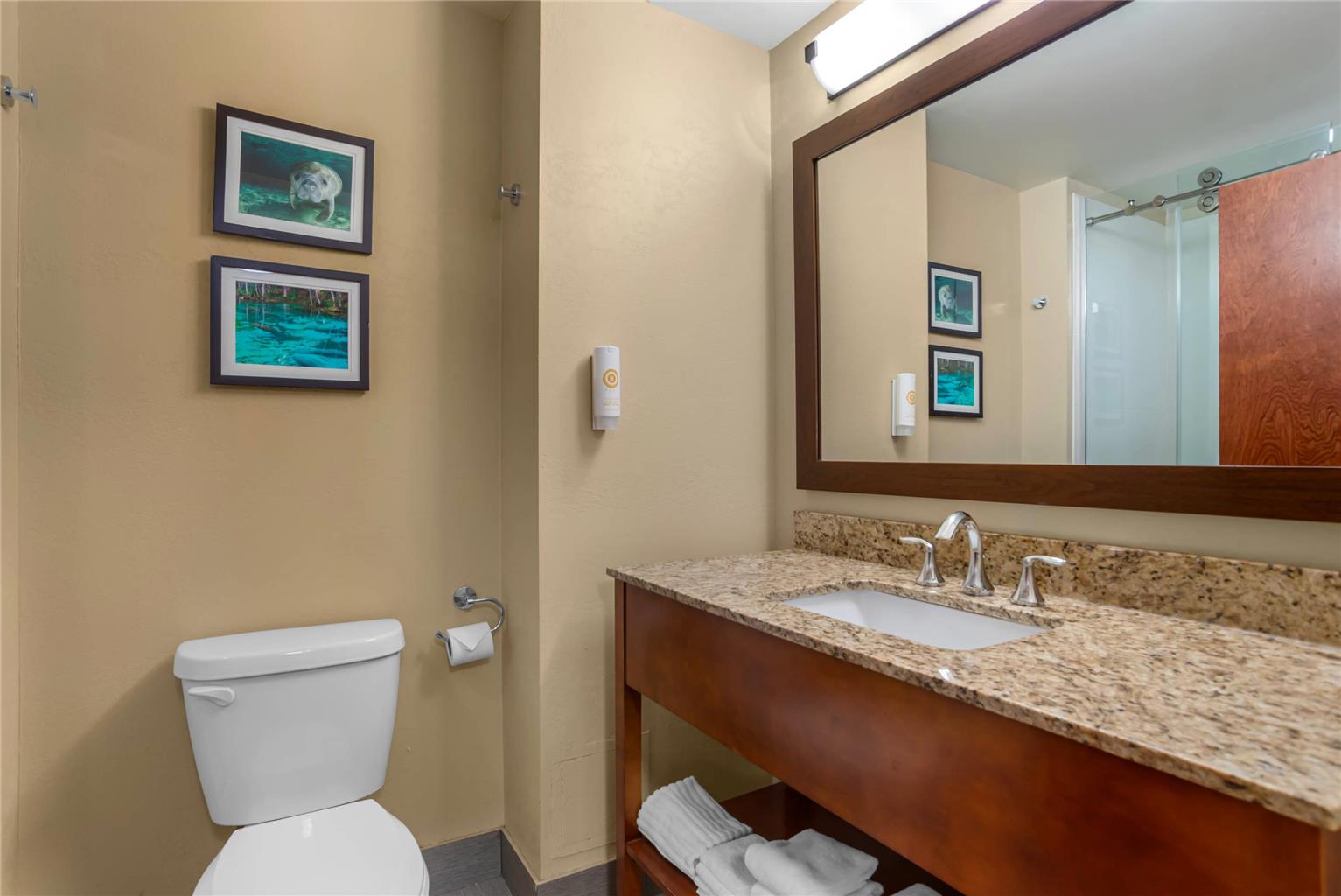 Comfort Suites Tallahassee Capitol University Area - photo 17