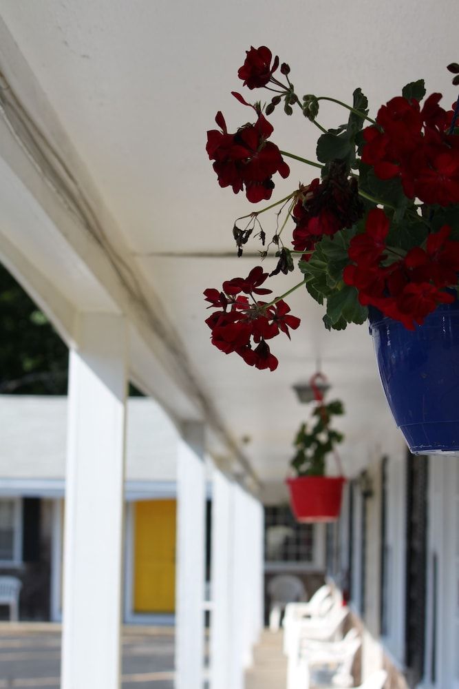 The Coachman Motor Inn — hotel in Harwich Port
