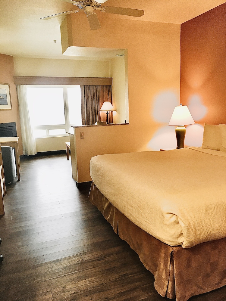 Lighthouse Suites Inn - photo 5