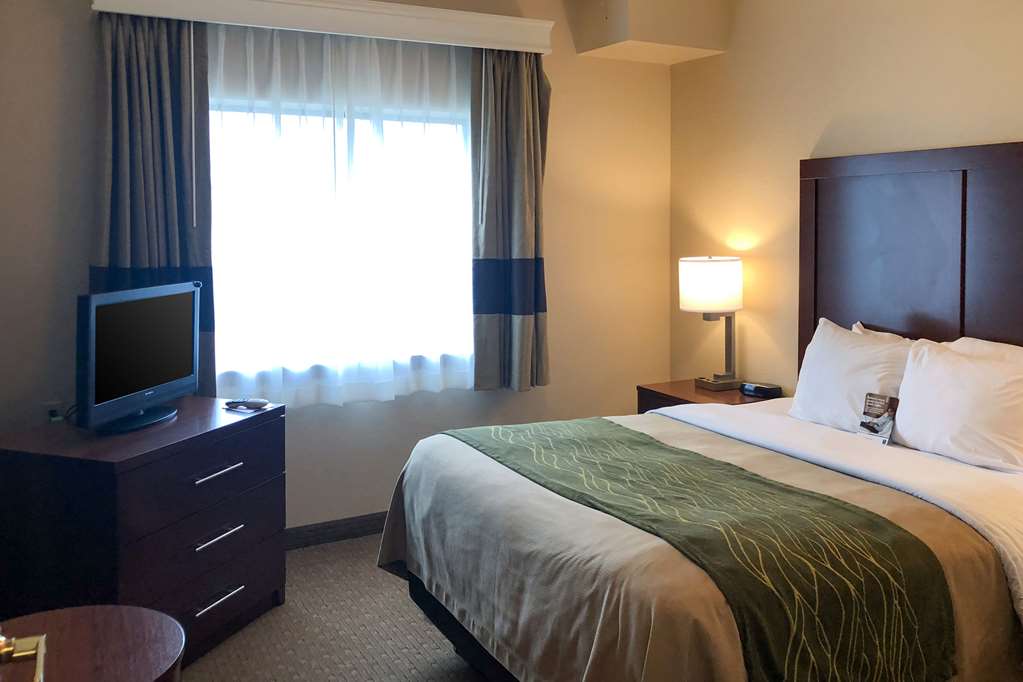 Comfort Inn Early Brownwood - photo 12