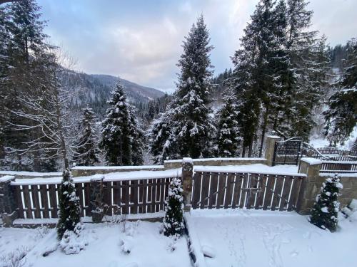 Na Gori — Slavske — photo 2