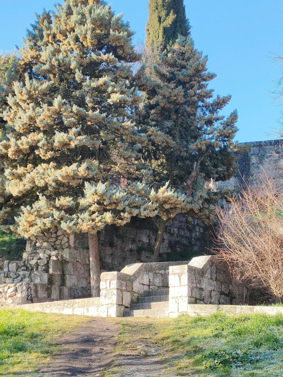 La Antigua Muralla — Burgos