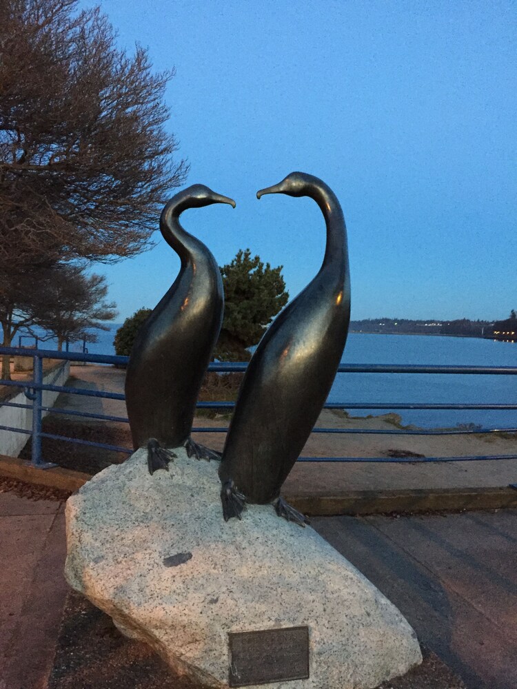 Port Angeles Inn - photo 35