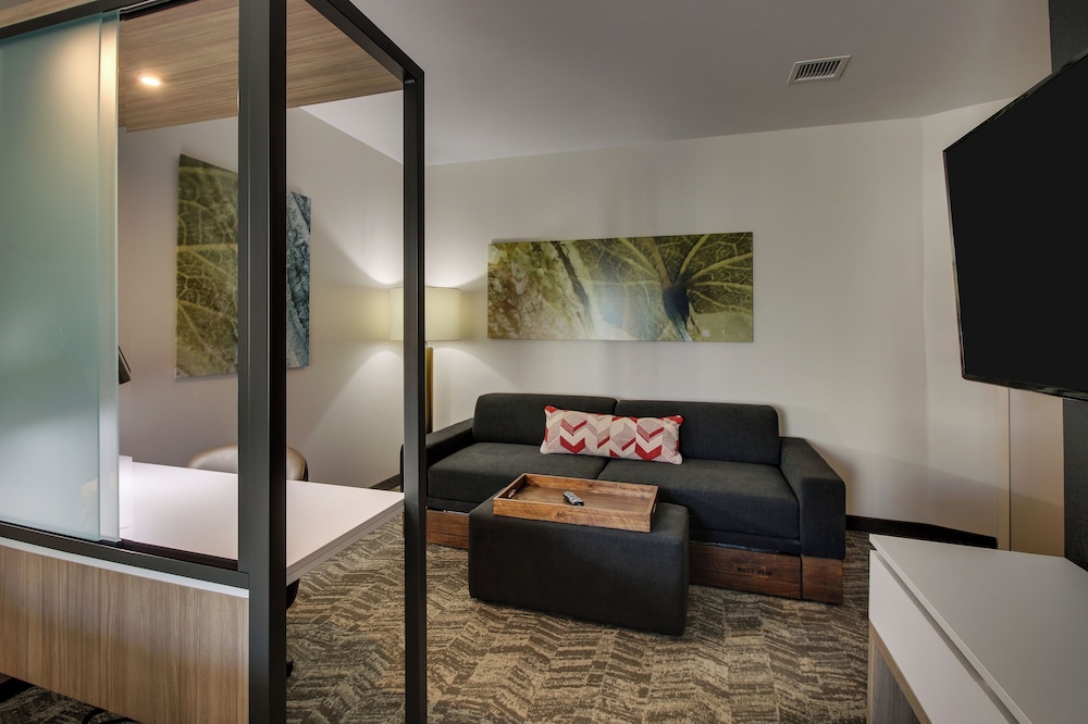 TownePlace Suites by Marriott Mobile Saraland - photo 11