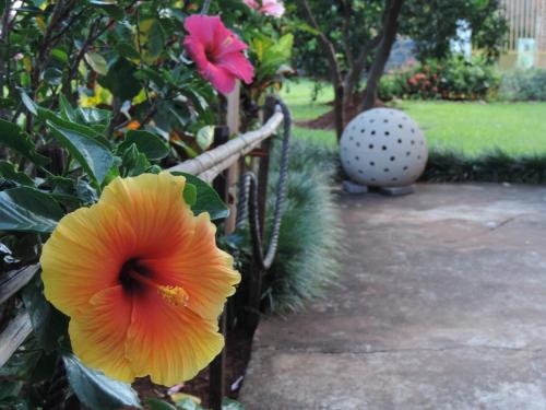 Hotel Travel Encarnación in Encarnacion, Paraguay