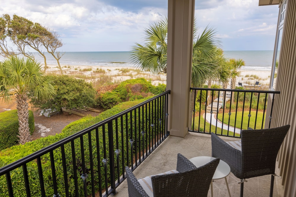 34 Surf Scoter at the Sea Pines Resort - photo 38