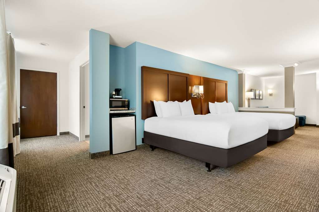 Comfort Suites Rensselaer near Fair Oaks - photo 17