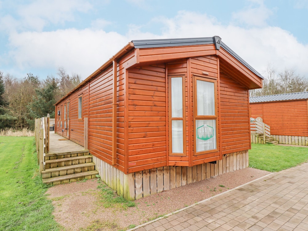 Draco in Morpeth, United Kingdom