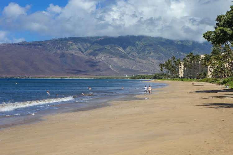 Maalaea Surf Resort #C 3 - photo 21