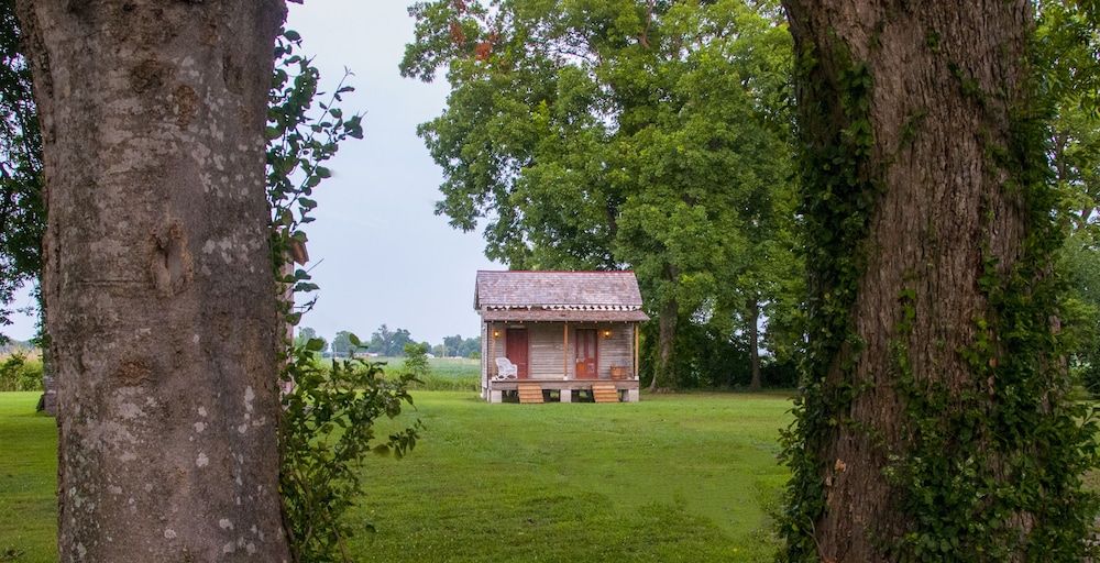 Belmont Plantation - featured photo