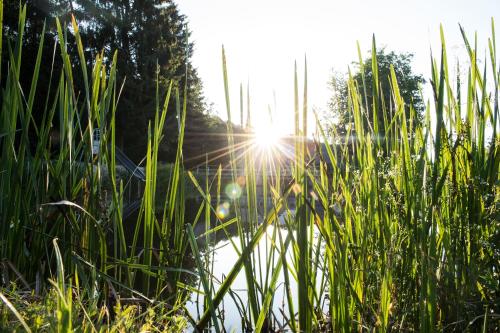 Harfenmühle Camping — Idar-Oberstein — photo 2