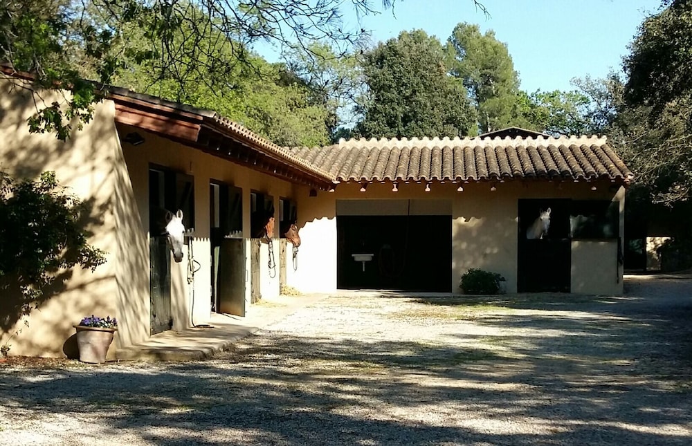 Mas Caterina — Madremanya — photo 3