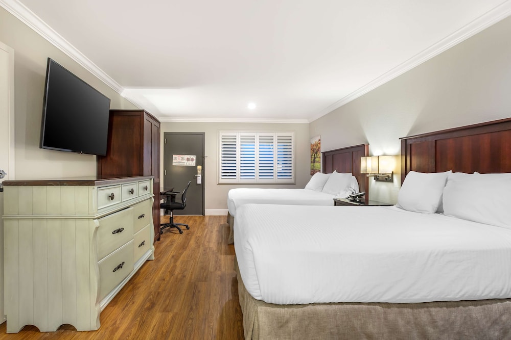 Dry Creek Inn MOD Collection by Sonesta - photo 18