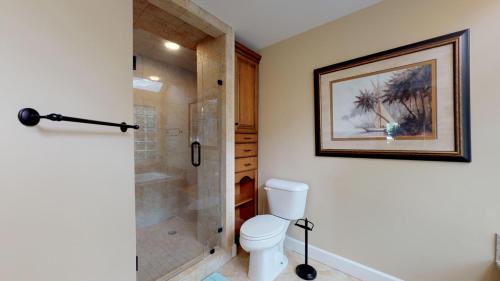 3 Midstream - photo 16