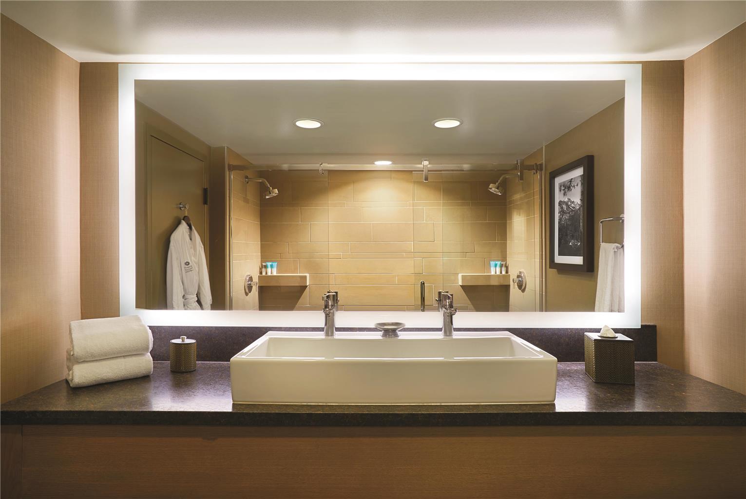 Hyatt Regency Lake Tahoe Resort Spa and Casino - photo 3