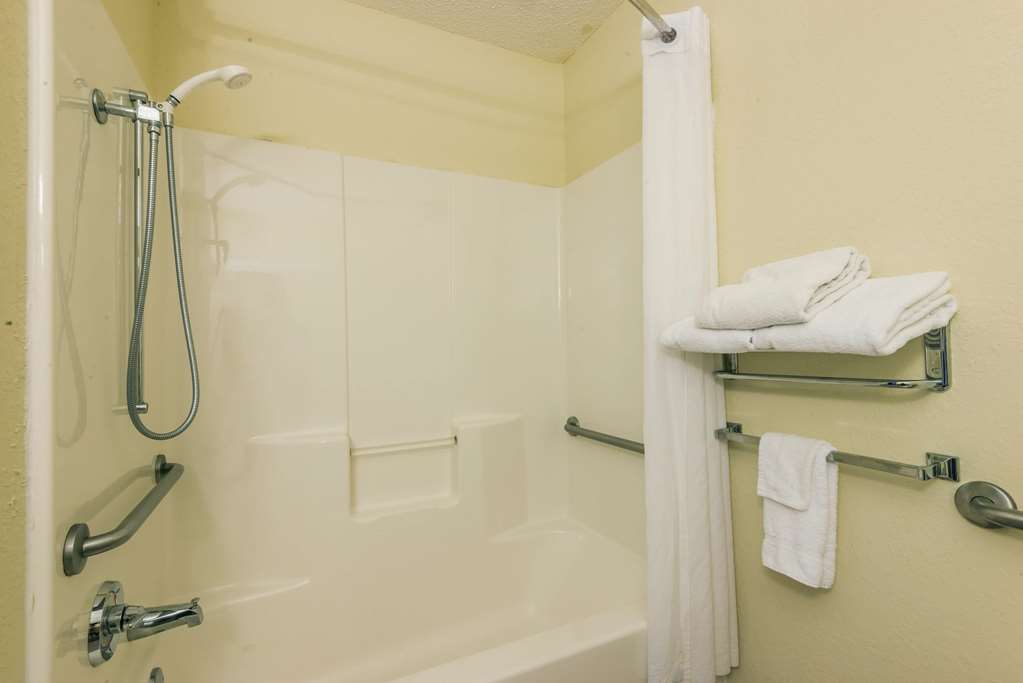 Microtel Inn & Suites by Wyndham Auburn - photo 7