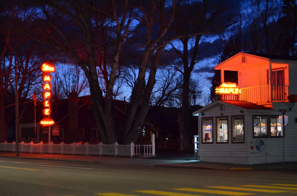 Silver Maple Inn - photo 22
