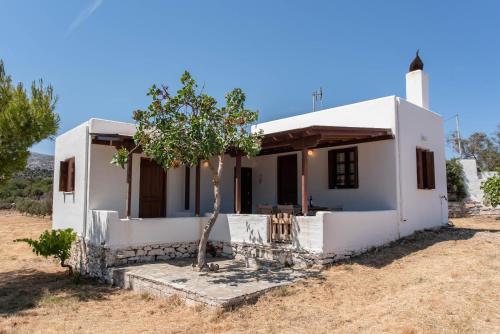 Country House in Moutsouna — 4-Star Luxury Hotel in Filotion, Greece