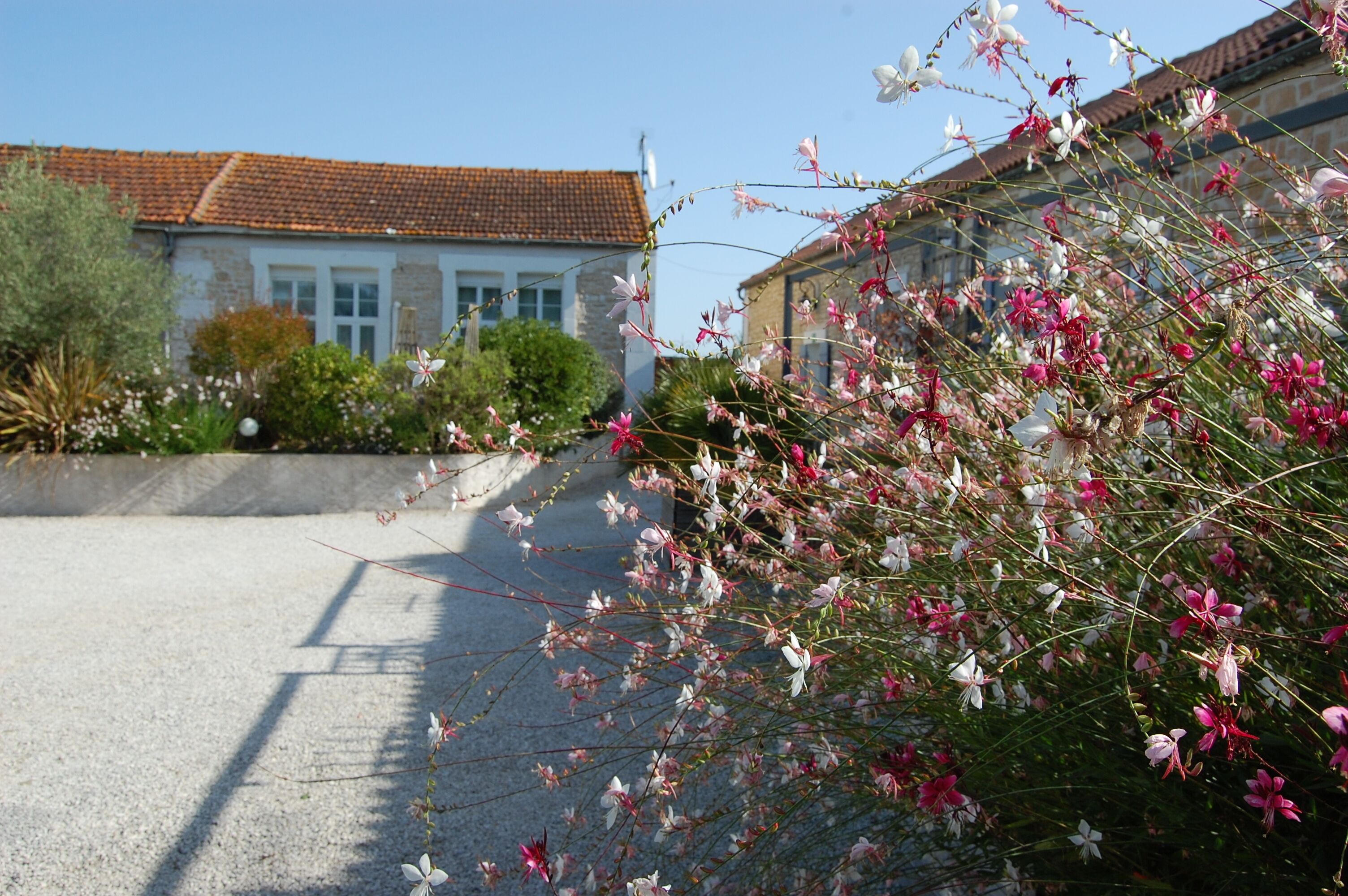 Gîtes du comptoir des écoliers — Gemozac — photo 4
