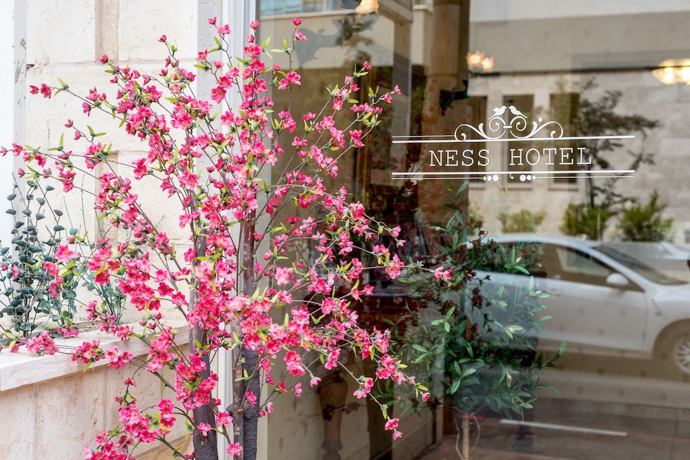 Ness Ziona - last minute hotel in Tel Aviv