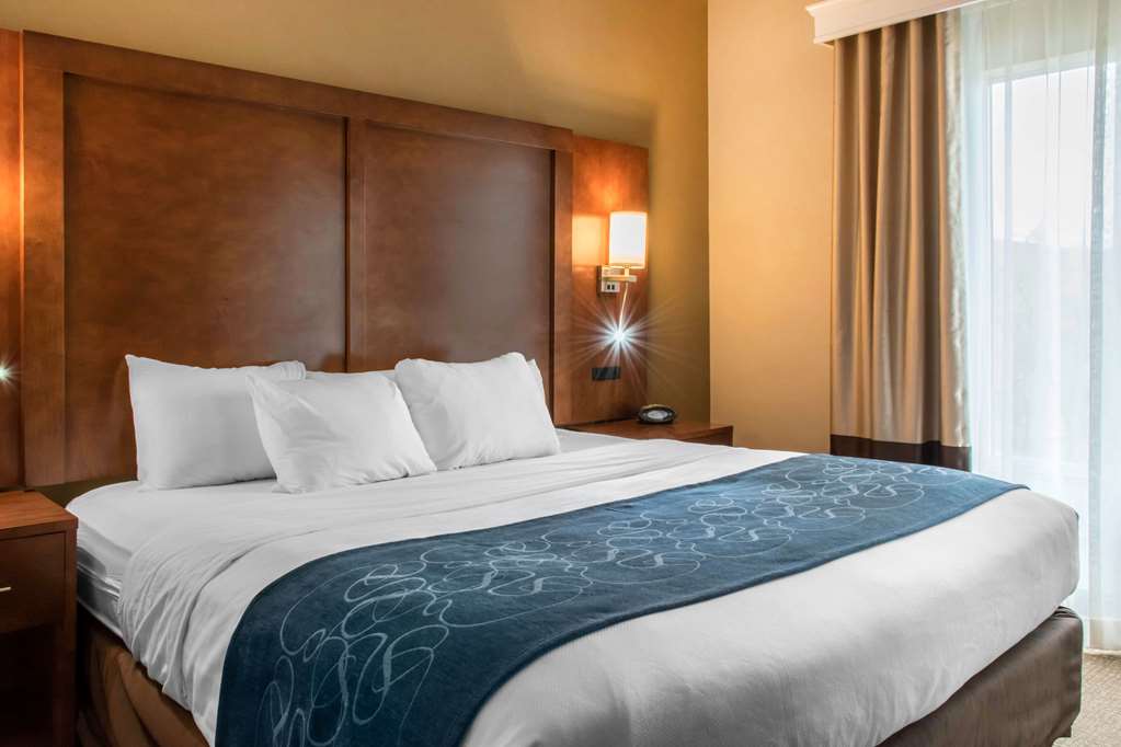 Comfort Suites Scranton near Montage Mountain - photo 15