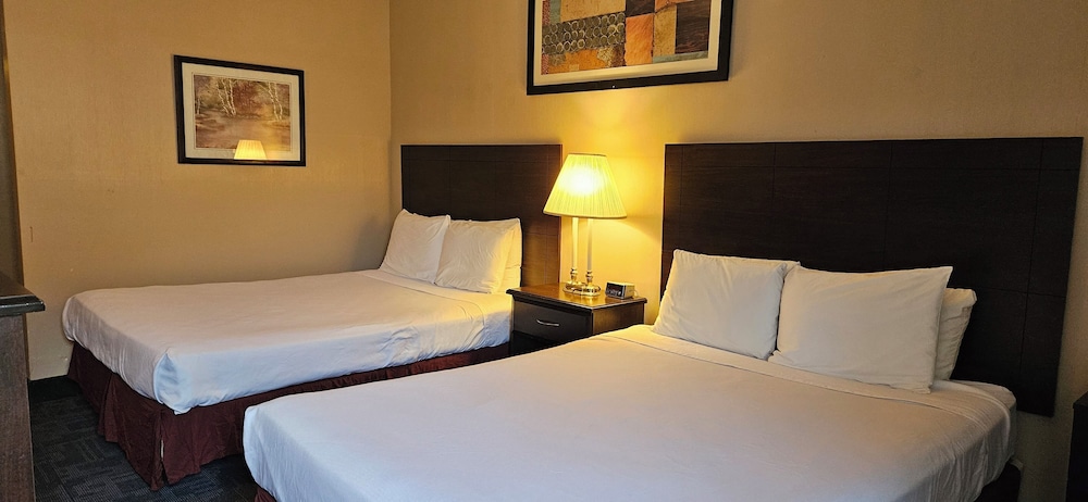 Bellis Inn - photo 16
