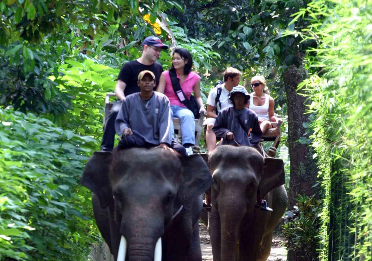 Sun Ray Inn - carbon neutral hotel in Dambulla