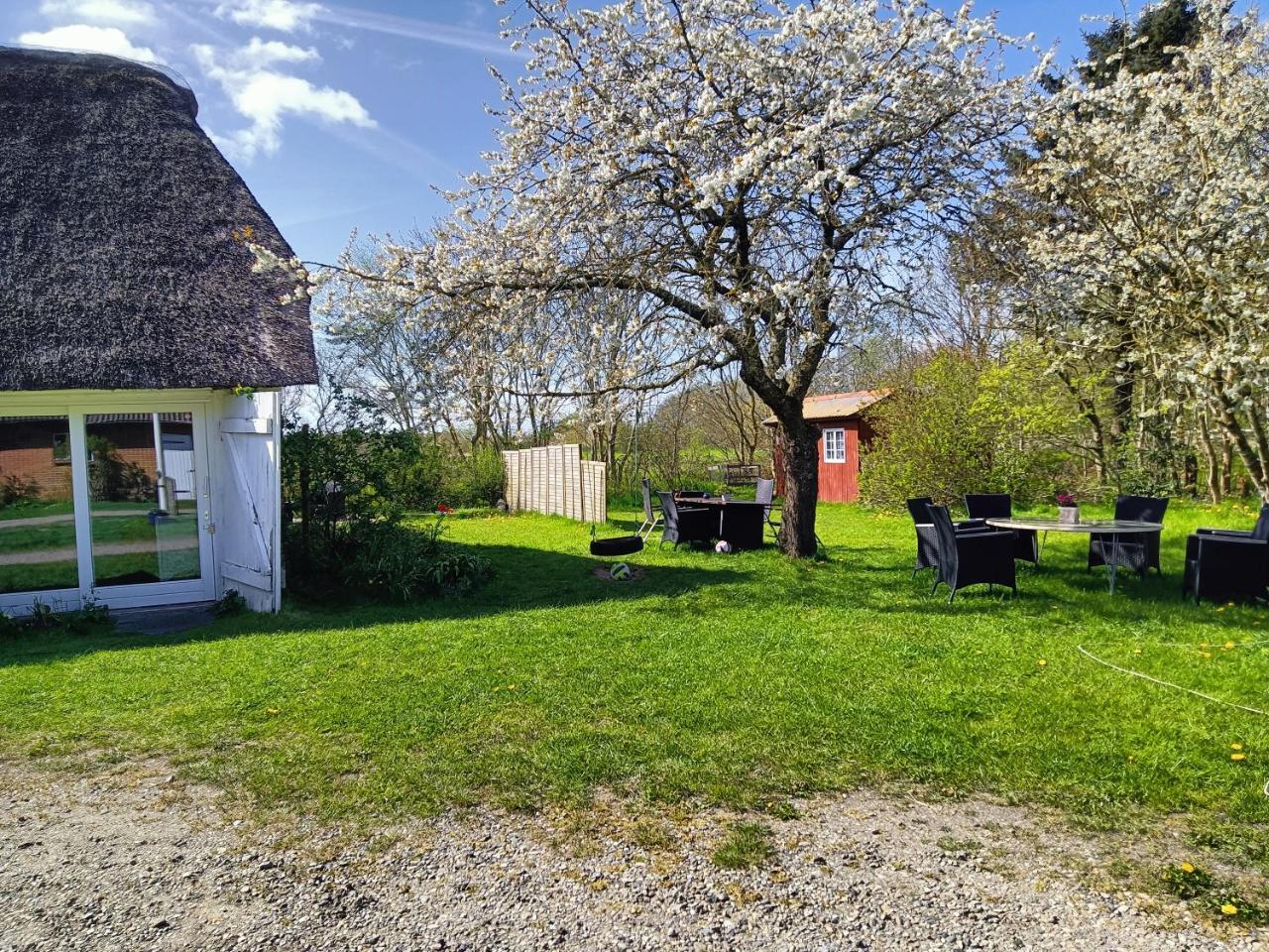 Ferienhof Faebrogaard — Skaerbaek — photo 3