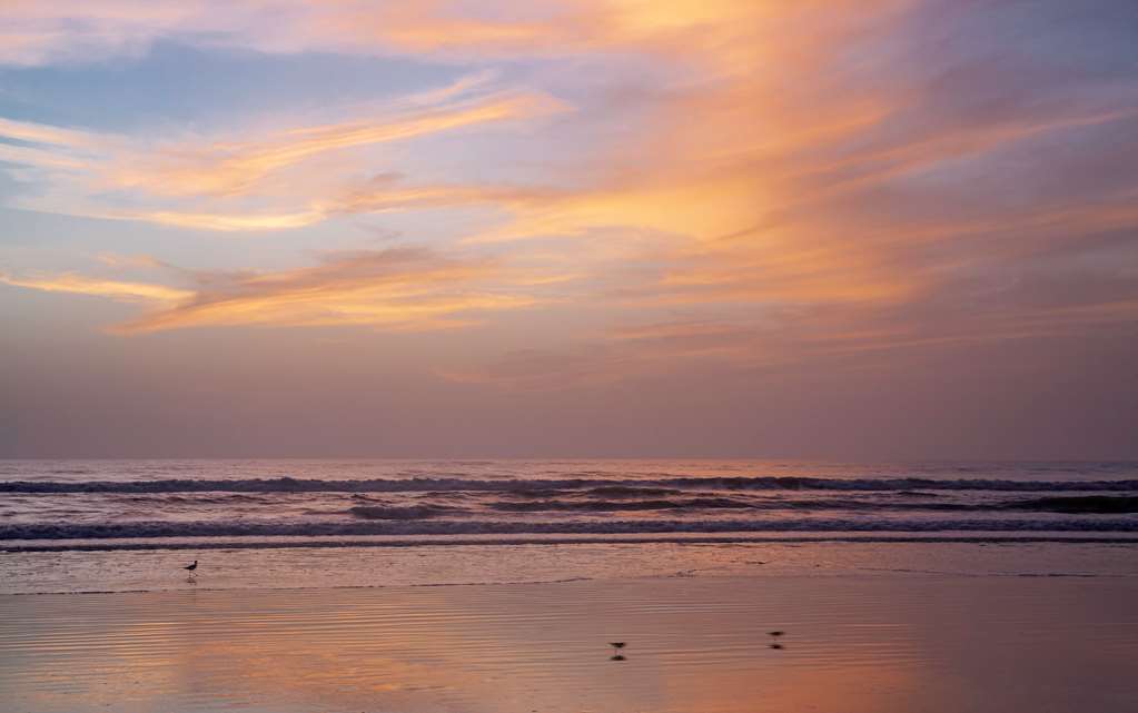 Best Western New Smyrna Beach Hotel & Suites - photo 43