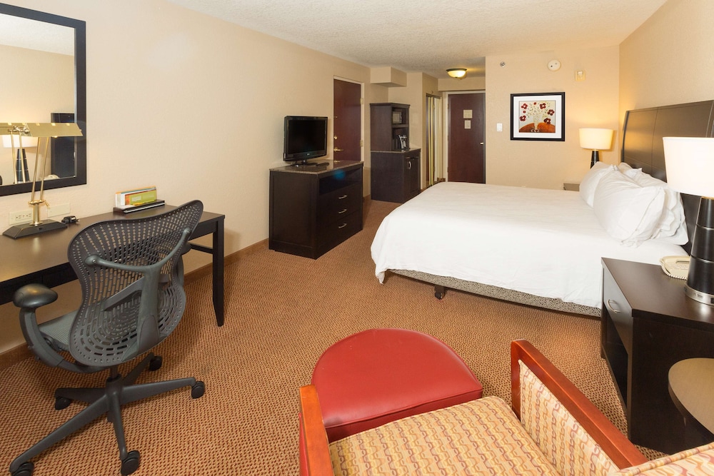 Hilton Garden Inn Daytona Beach Airport - photo 36