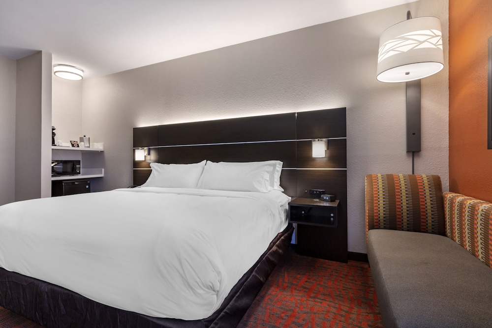 Holiday Inn Express Metropolis - photo 10