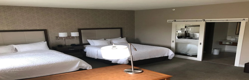 Hampton Inn & Suites Tampa Busch Gardens Area - photo 9