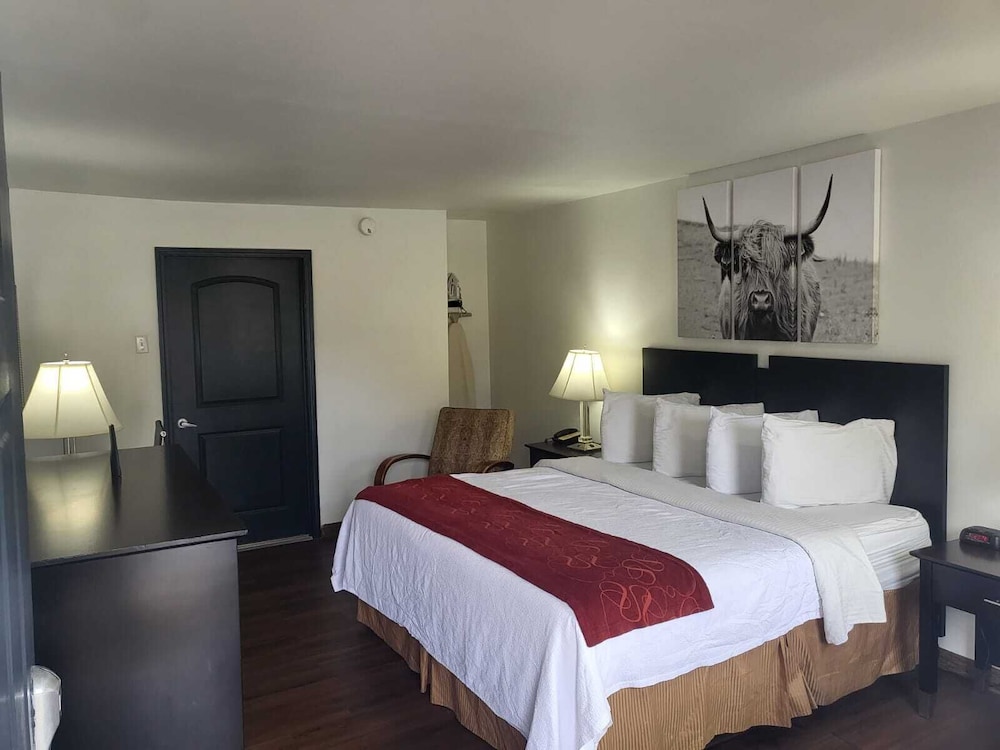 Pine Tree Inn - photo 19