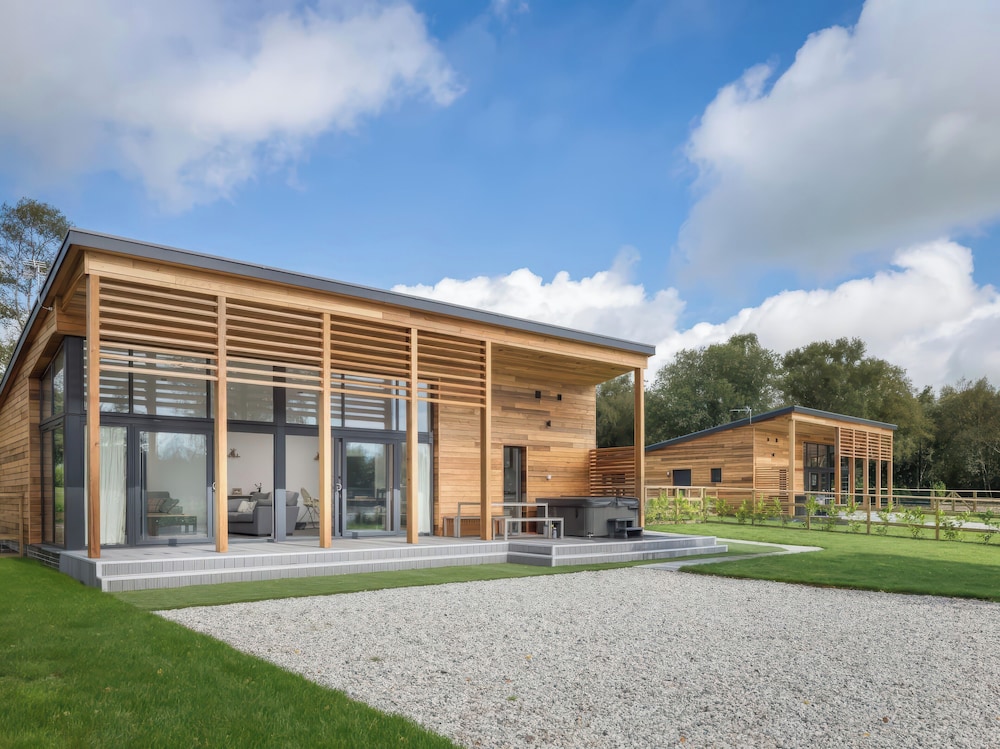 Silver Birch in Winkleigh, United Kingdom